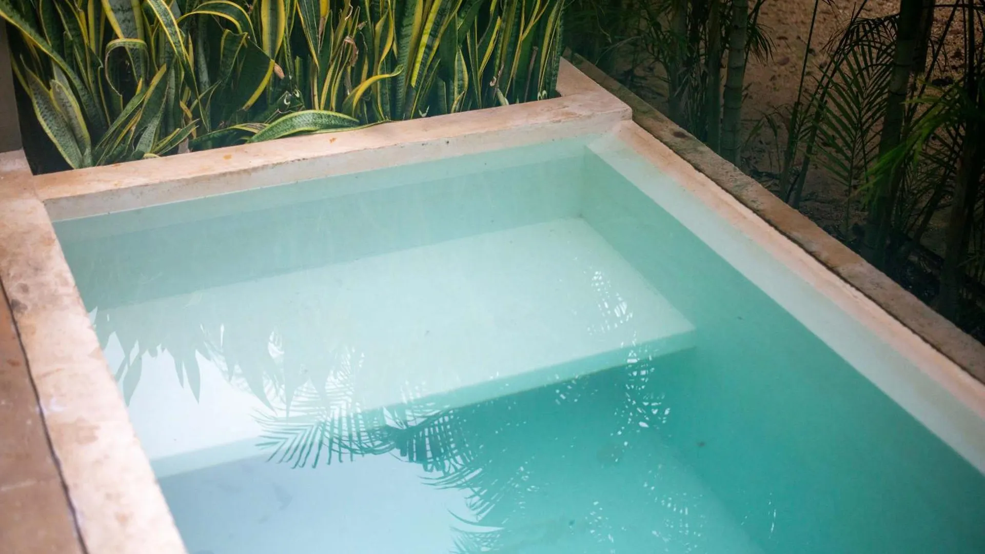 Seremonia Origen - Tulum Studio With Plunge Pool 0*,
